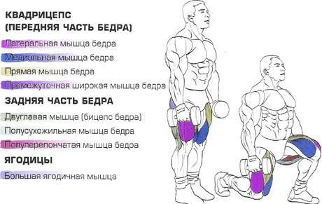Как накачать бедро ноги в домашних условиях Как накачать бедро ноги в домашних условиях